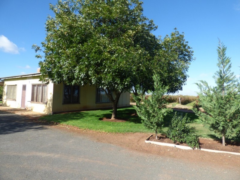 1133 Stokes Road, Hanwood NSW 2680