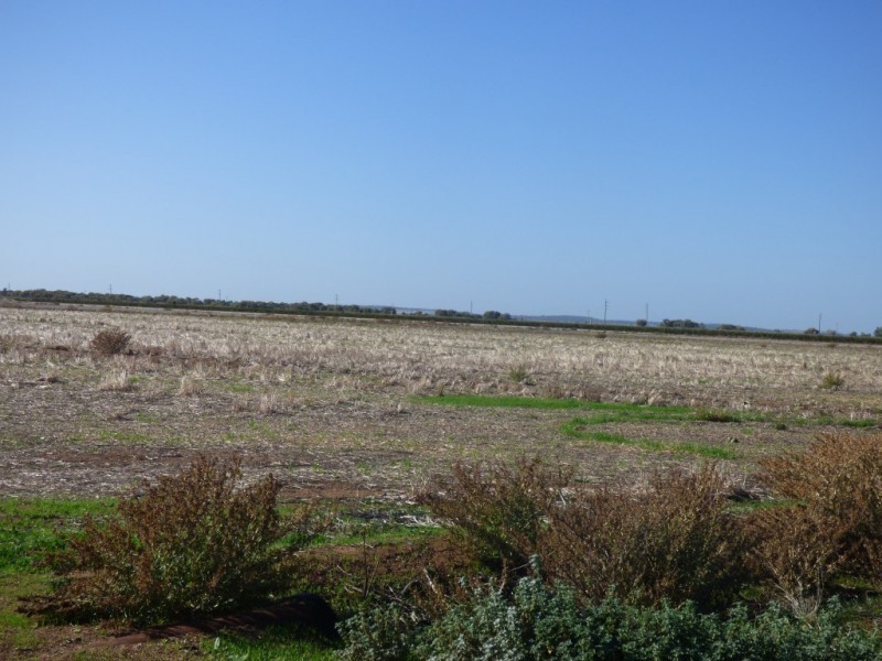 2562 Evans Road, Bilbul NSW 2680