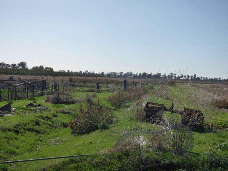 2562 Evans Road, Bilbul NSW 2680