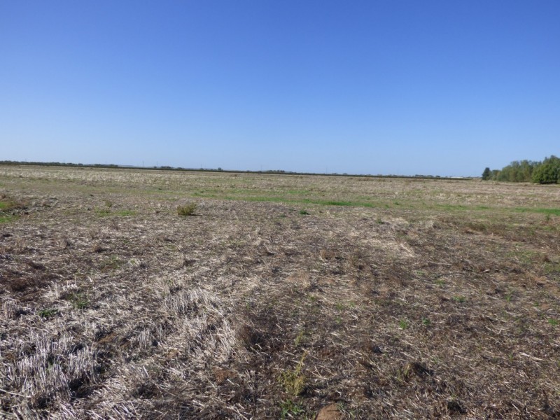 2562 Evans Road, Bilbul NSW 2680