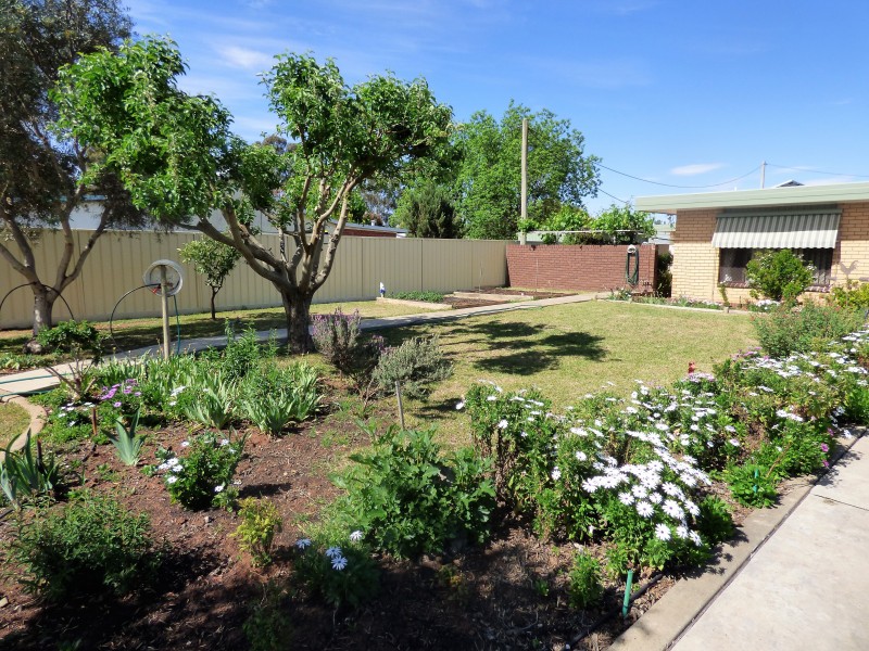 5 Canal Street, Bilbul NSW 2680