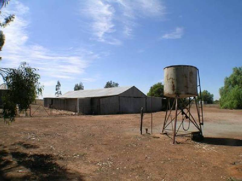 Farm 282 Evans Road, Bilbul NSW 2680