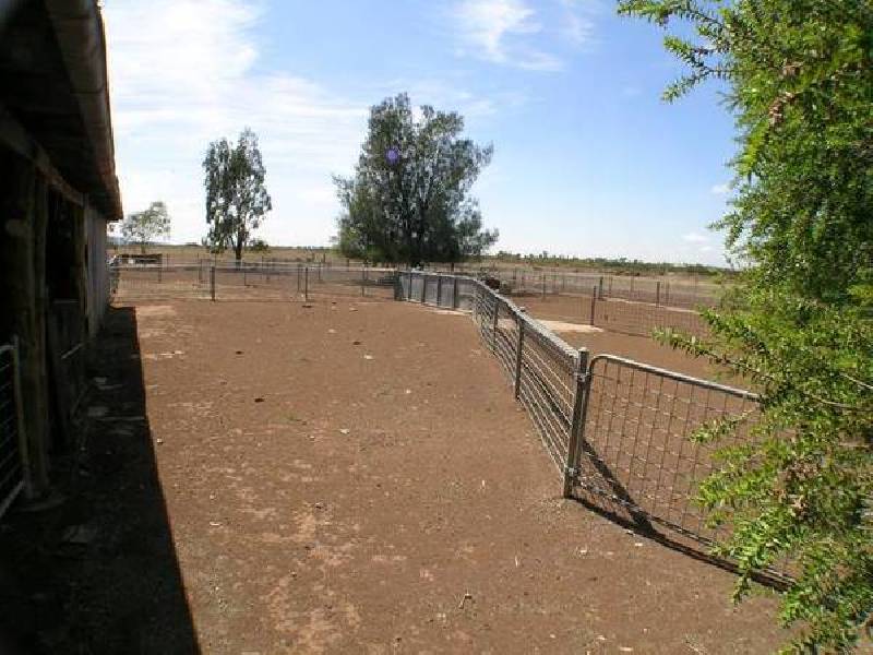 Farm 282 Evans Road, Bilbul NSW 2680