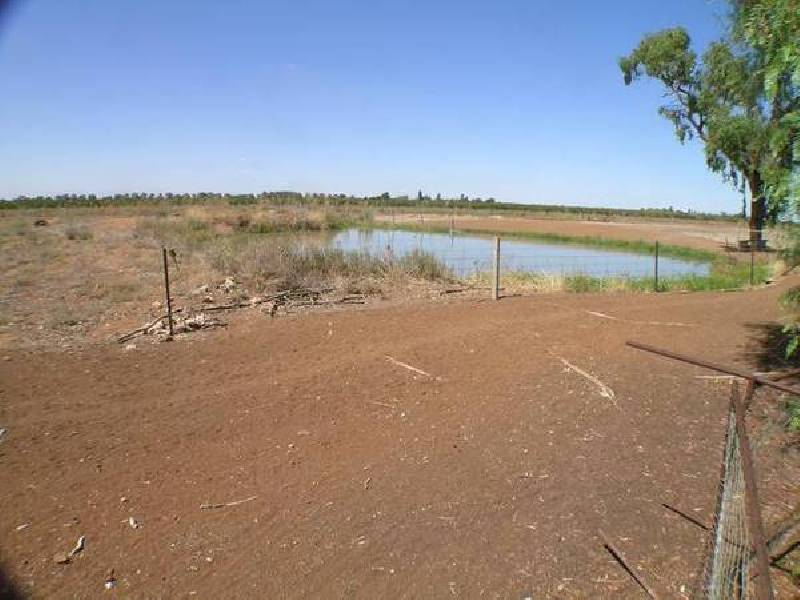 Farm 282 Evans Road, Bilbul NSW 2680