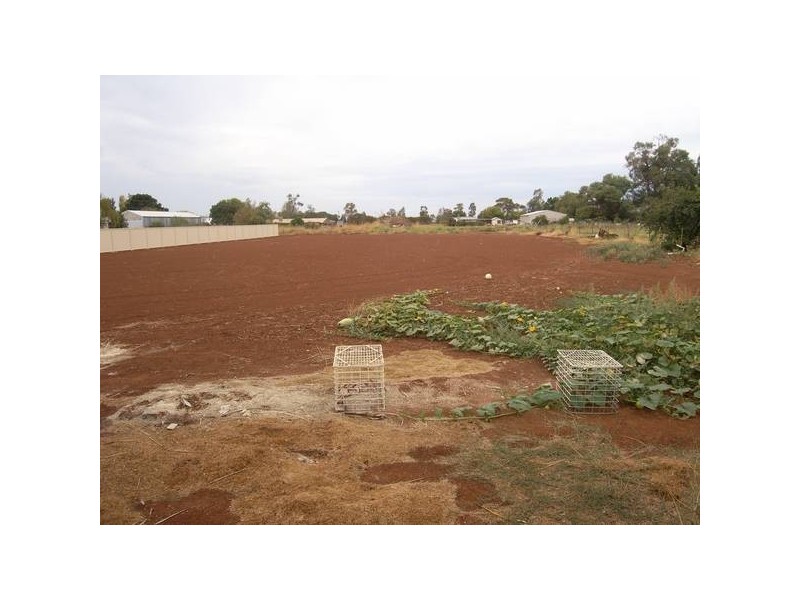 2401 Golf Course Road, Yenda NSW 2681