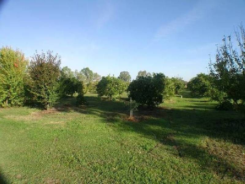 Davis Street, Beelbangera NSW 2680