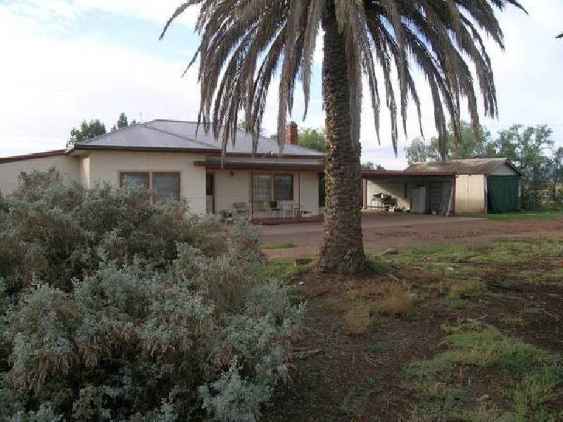 1611 Gribble Road, Yenda NSW 2681