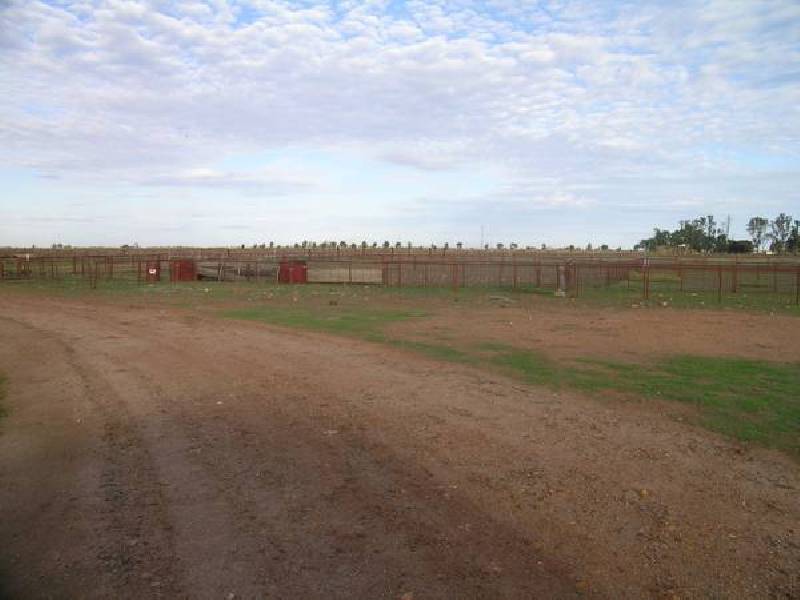 1611 Gribble Road, Yenda NSW 2681