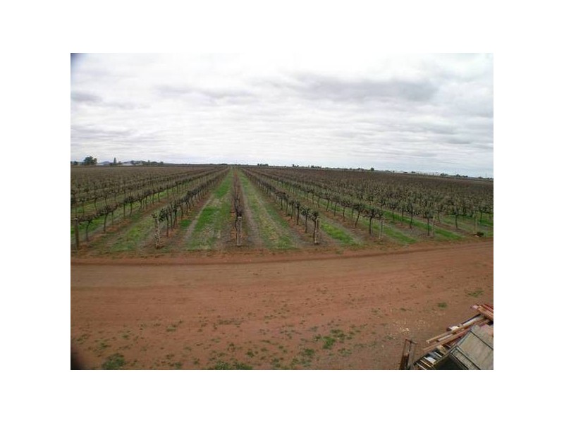 611b Bilbul Road, Beelbangera NSW 2680