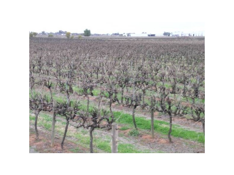 611b Bilbul Road, Beelbangera NSW 2680