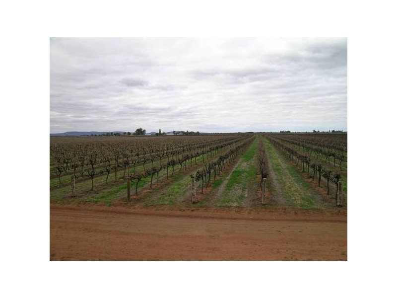 611b Bilbul Road, Beelbangera NSW 2680