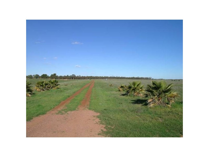 13 Zanotto Road, Nericon NSW 2680