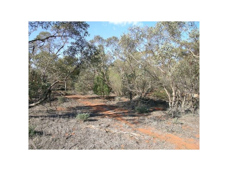 13 Zanotto Road, Nericon NSW 2680