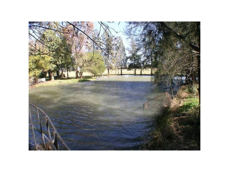 311 Prior Road, Bilbul NSW 2680