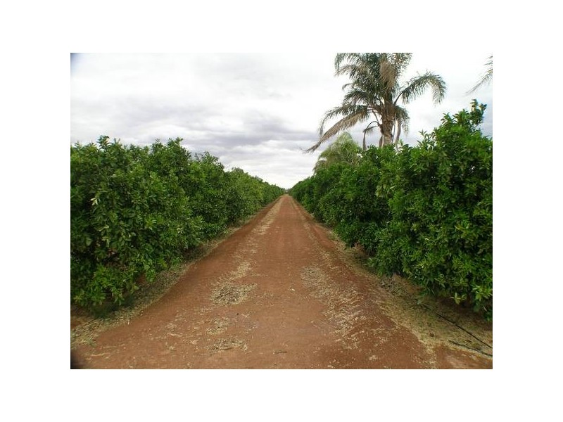 Griffith NSW 2680