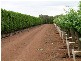 Griffith NSW 2680