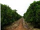 Griffith NSW 2680