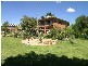 577a New Farms Road, Nericon NSW 2680