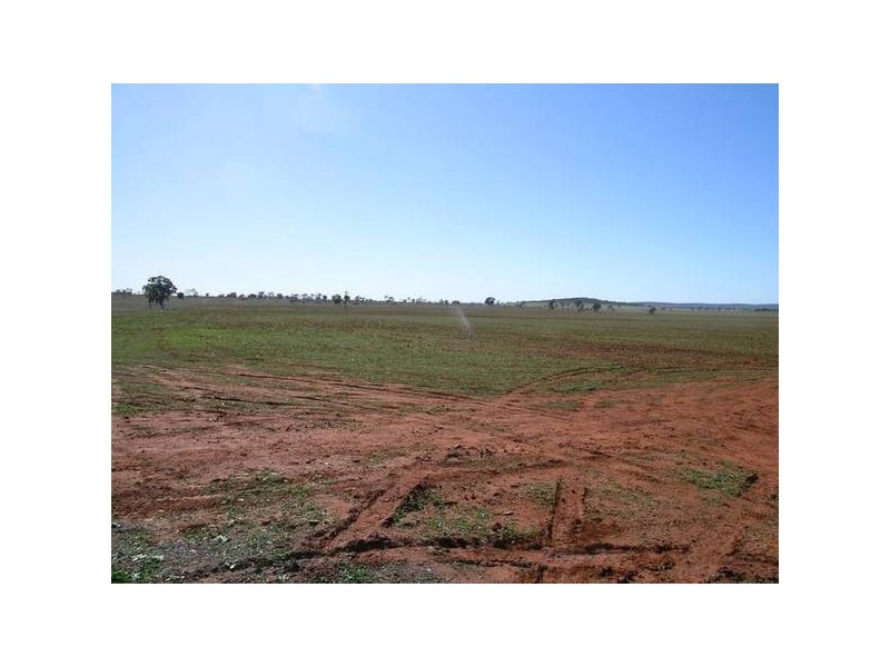 Dickie Road, Griffith NSW 2680