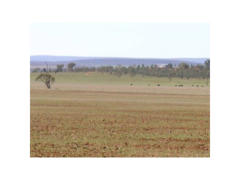 Dickie Road, Griffith NSW 2680