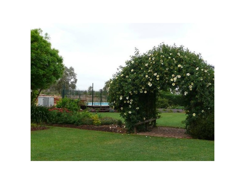 87 Myall Park Road, Yenda NSW 2681