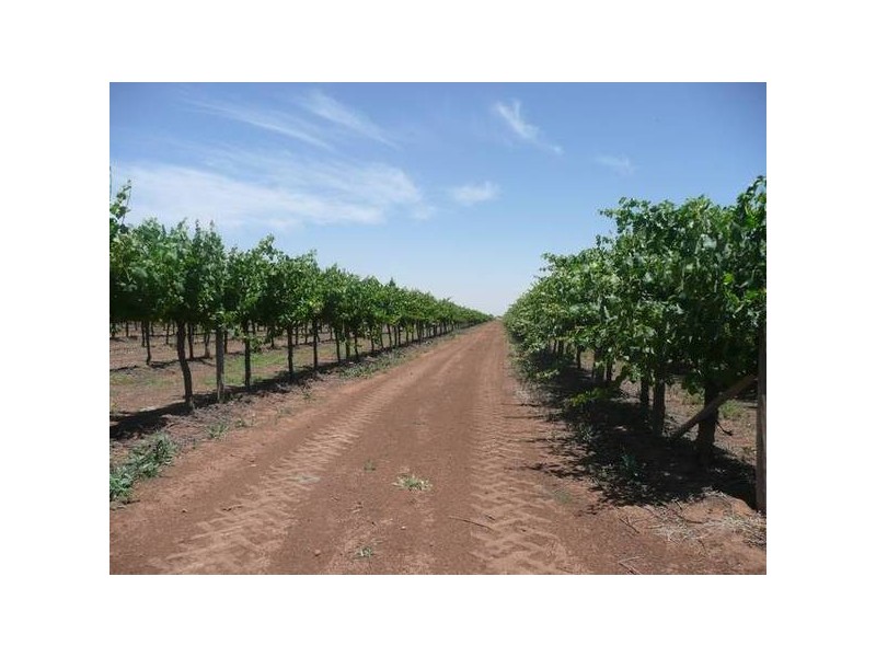 Farm 2587 & 2589, Yenda NSW 2681