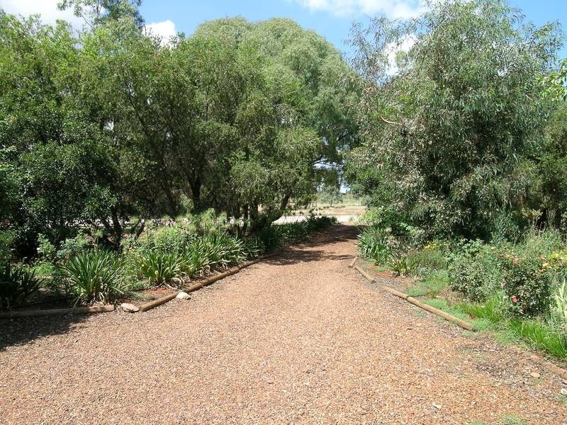 2645 Cemetery Road, Yenda NSW 2681