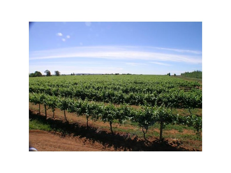 1362a Gribble Road, Yenda NSW 2681