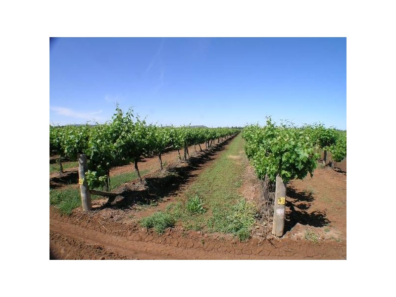 1362a Gribble Road, Yenda NSW 2681