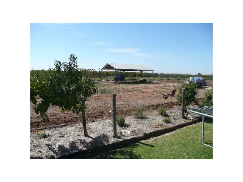 1561 Twigg Road, Griffith NSW 2680