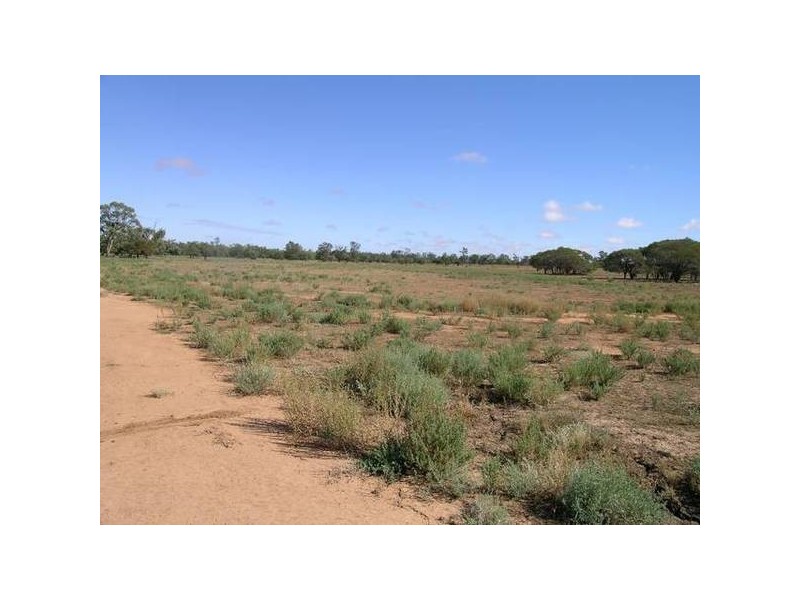 McKinley Road, Gunbar NSW 2711