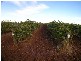 1372 Carver Road, Yenda NSW 2681