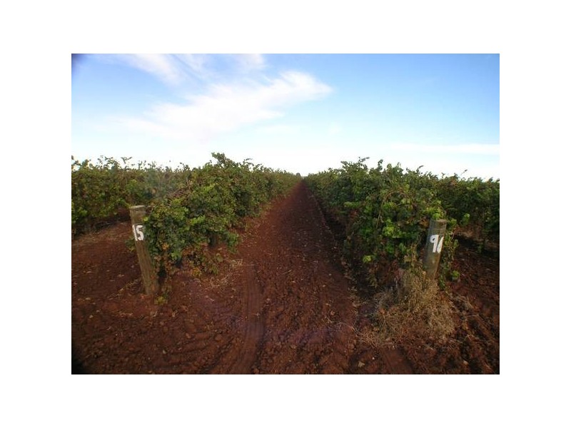 1372 Carver Road, Yenda NSW 2681