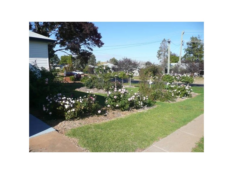 113 Macarthur Street, Griffith NSW 2680