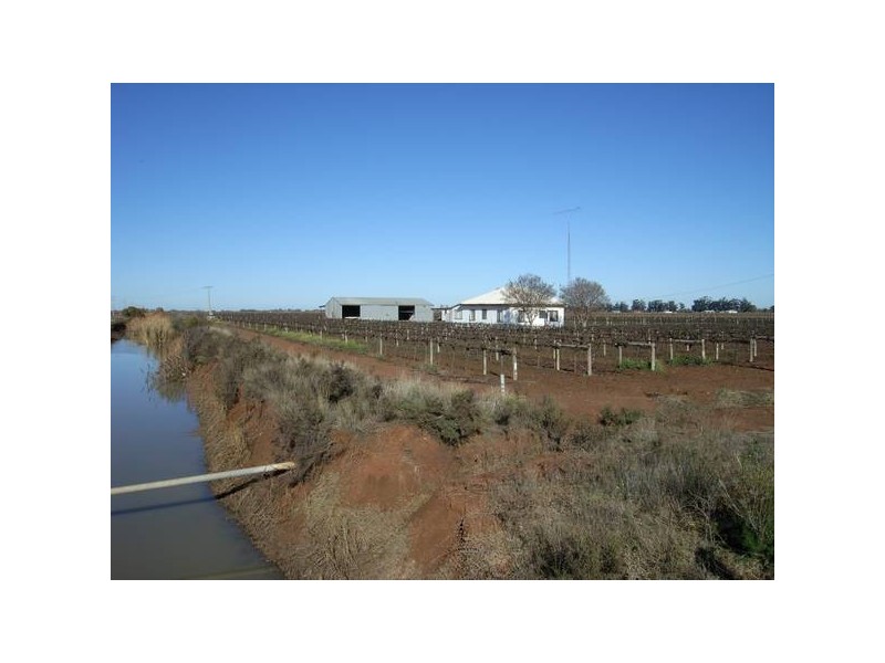 284 Rossetto Road, Beelbangera NSW 2680