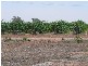 Yenda NSW 2681