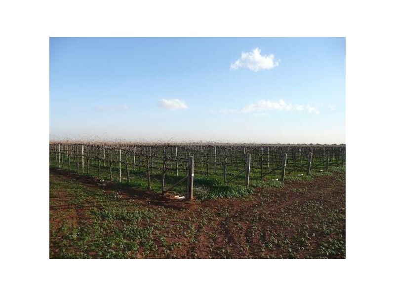 2623 Butler Road, Griffith NSW 2680