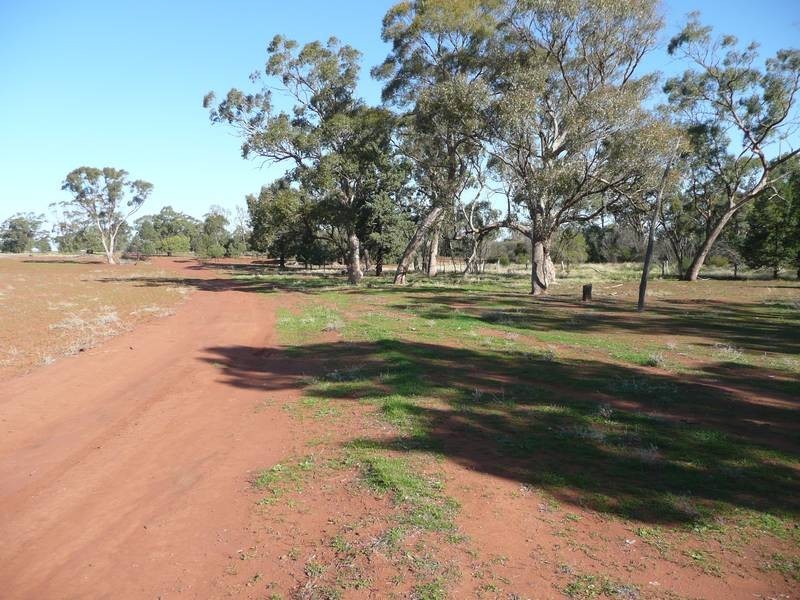 0 Back Hillston Road, Tabbita NSW 2652