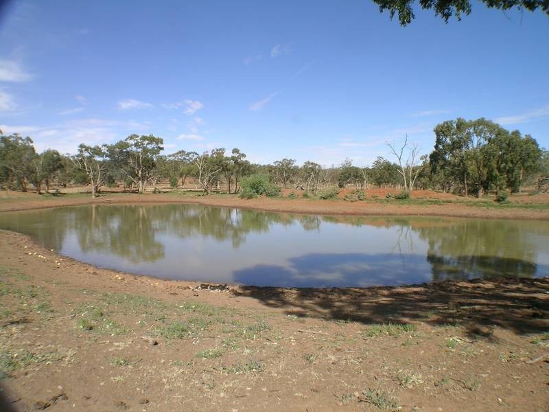 0 Back Hillston Road, Tabbita NSW 2652