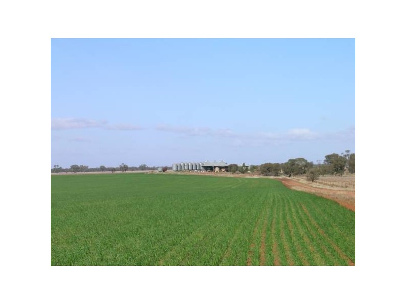 0 Jansens Road, Weethalle NSW 2669