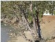 Murrumbidgee River Road, Carrathool NSW 2711