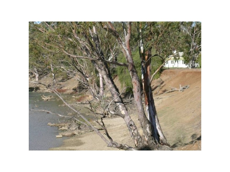 Murrumbidgee River Road, Carrathool NSW 2711