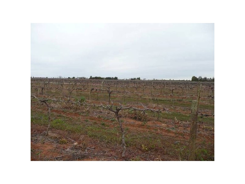 73 Moseley Road, Bilbul NSW 2680