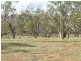 - ‘Oky Doky’, Tabbita NSW 2652
