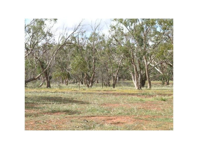 - ‘Oky Doky’, Tabbita NSW 2652