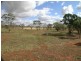 - ‘Oky Doky’, Tabbita NSW 2652