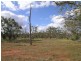 - ‘Oky Doky’, Tabbita NSW 2652