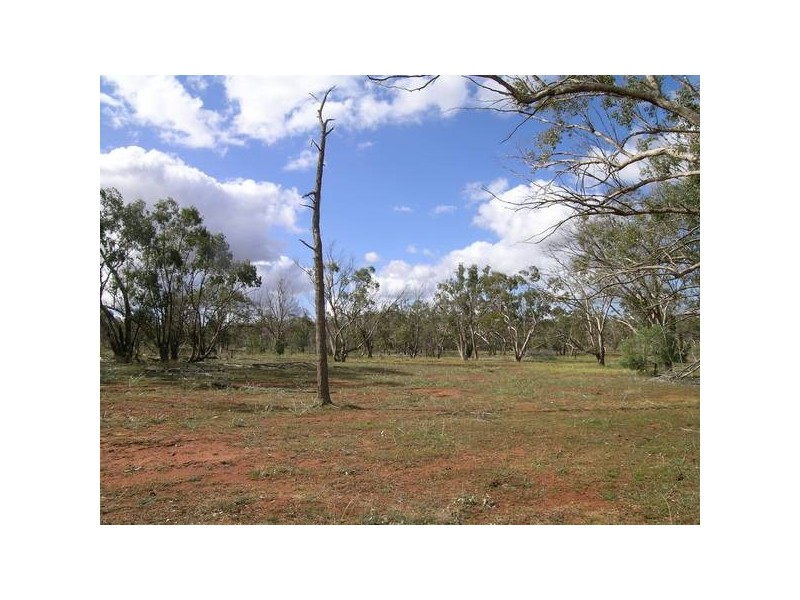 - ‘Oky Doky’, Tabbita NSW 2652