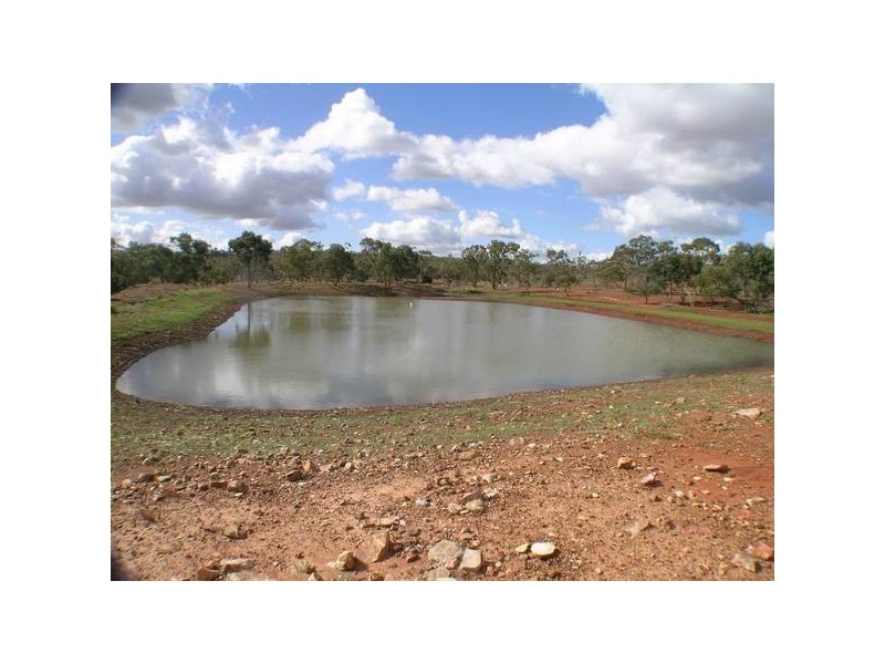 - ‘Oky Doky’, Tabbita NSW 2652