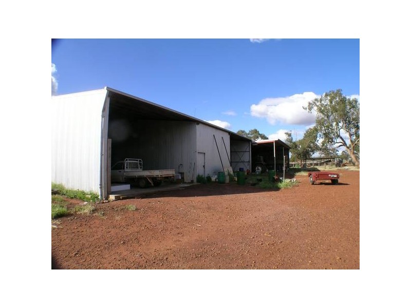 - ‘Oky Doky’, Tabbita NSW 2652
